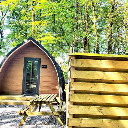 The Pod-Hot Tub-Woodland Lodges-St Clears-Carmarthen Ngoại thất bức ảnh