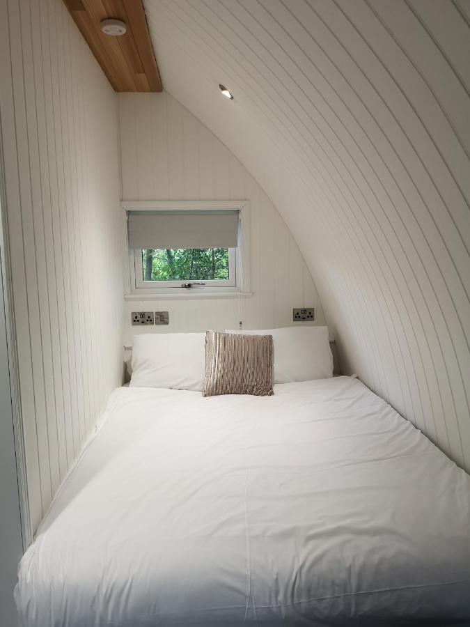 The Pod-Hot Tub-Woodland Lodges-St Clears-Carmarthen Ngoại thất bức ảnh
