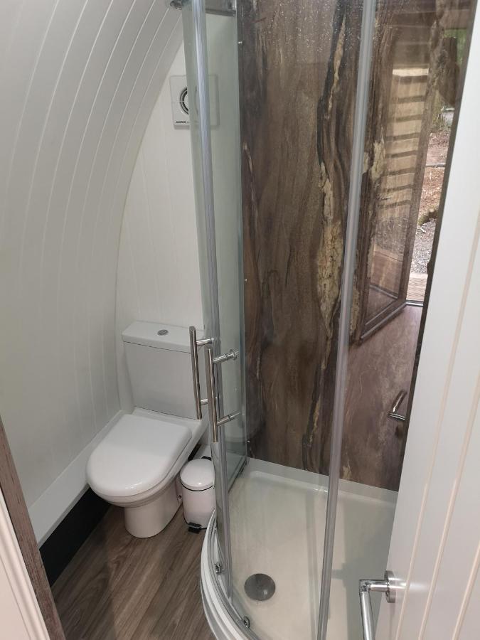 The Pod-Hot Tub-Woodland Lodges-St Clears-Carmarthen Ngoại thất bức ảnh