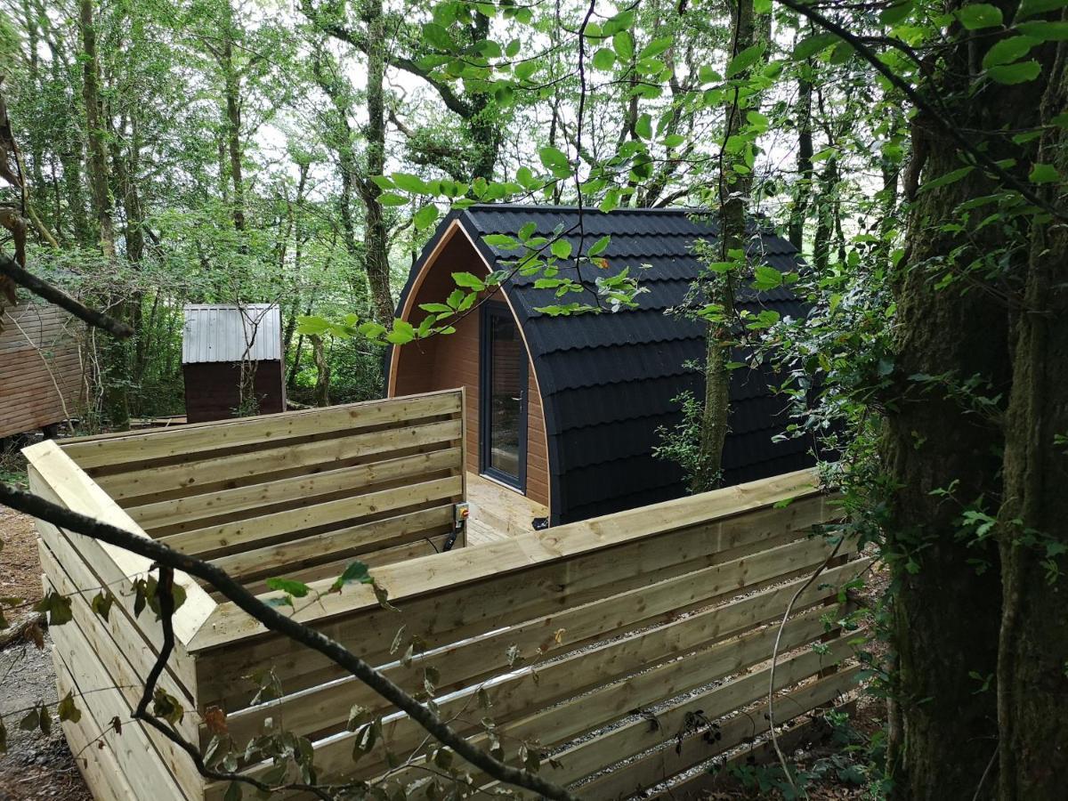 The Pod-Hot Tub-Woodland Lodges-St Clears-Carmarthen Ngoại thất bức ảnh