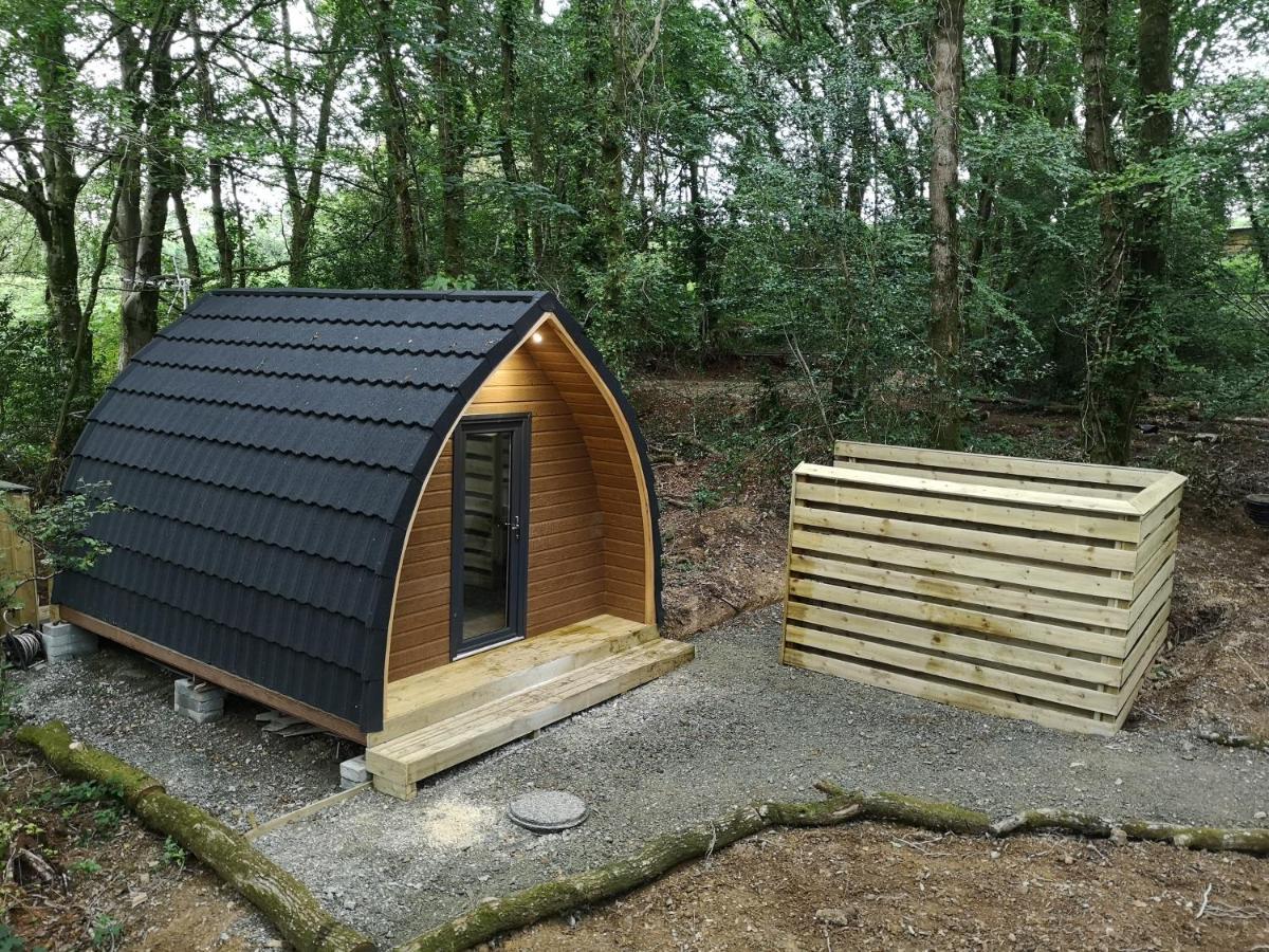 The Pod-Hot Tub-Woodland Lodges-St Clears-Carmarthen Ngoại thất bức ảnh