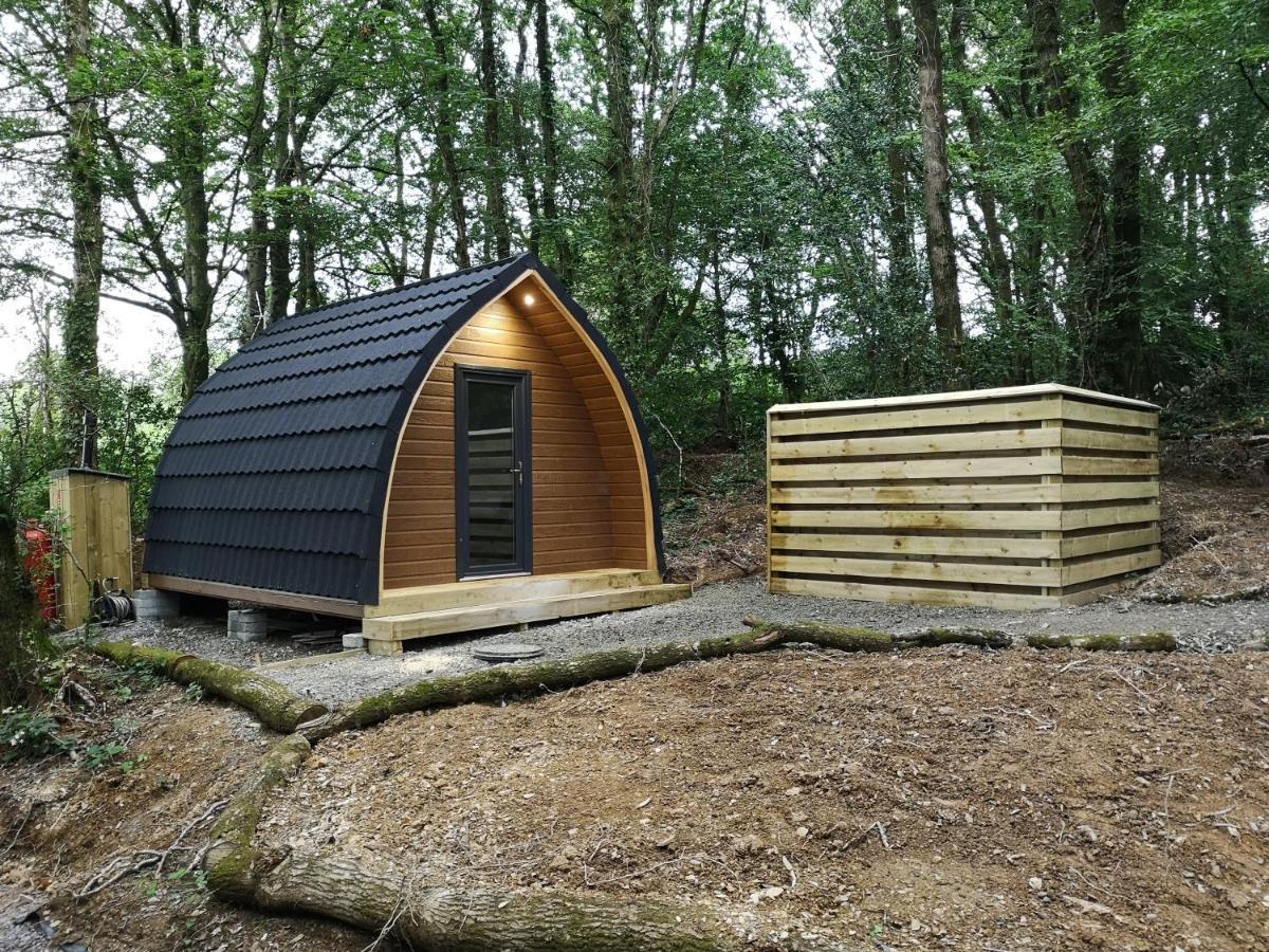 The Pod-Hot Tub-Woodland Lodges-St Clears-Carmarthen Ngoại thất bức ảnh