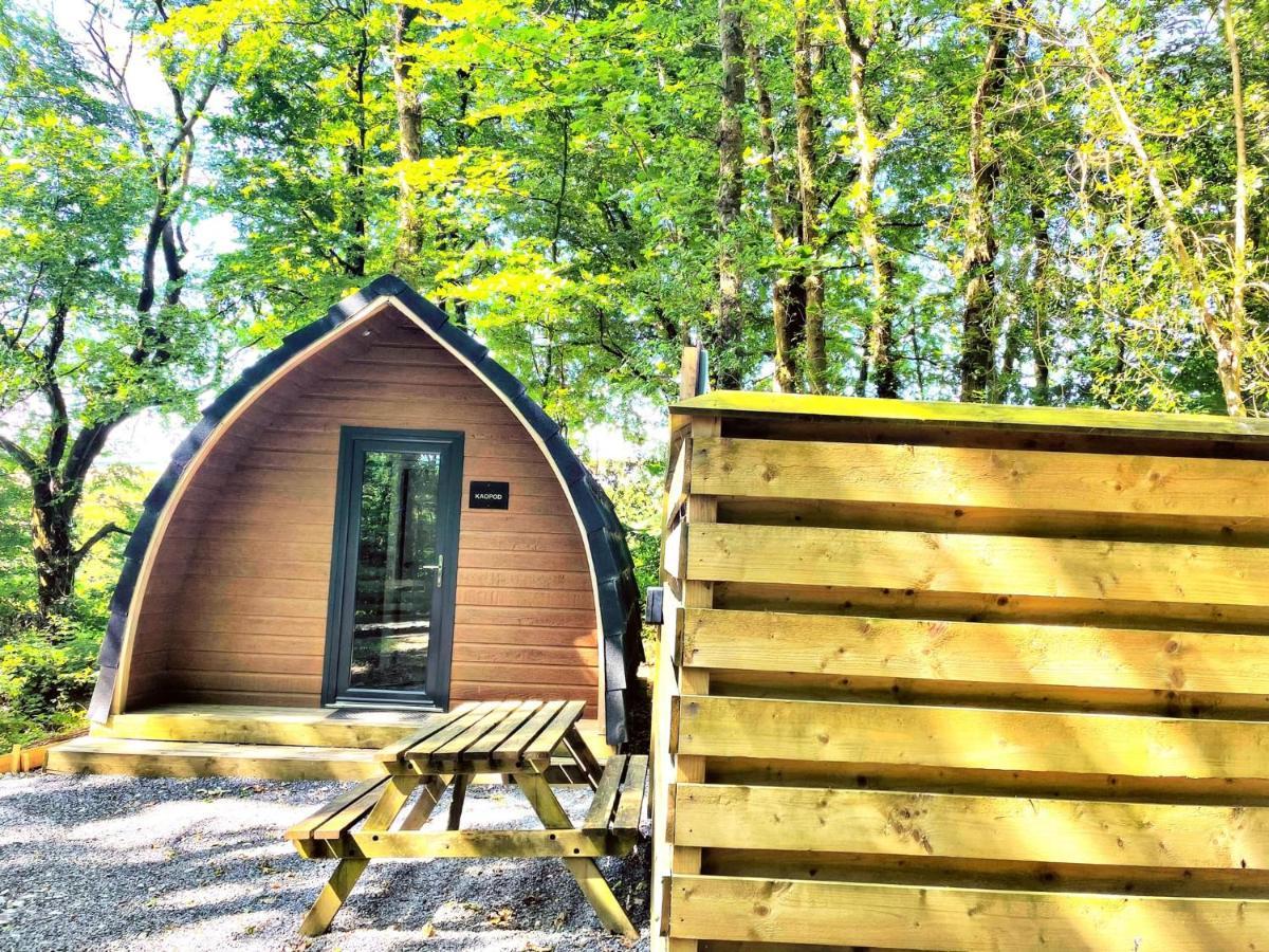 The Pod-Hot Tub-Woodland Lodges-St Clears-Carmarthen Ngoại thất bức ảnh